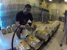 Worker drilling hole in wooden wine barrel.