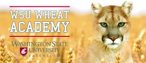 Graphic that says WSU Wheat Academy, with a cougar in a wheat field