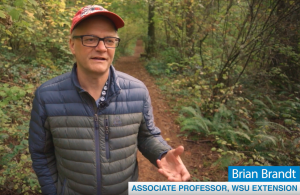 Brian Brandt standing in a forest
