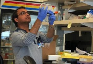 Roy, holding up circular slide dishes in lab.