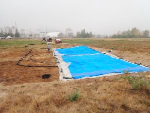 A blue tarp covers a small part of a large grassy area. A dark brown section of grass is right next to the tarp. In the background is a large tank, with hoses running from the tank to the tarp.