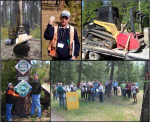 Collage of Forestry events