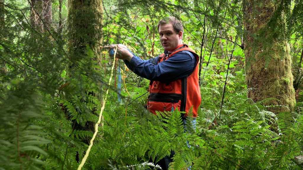 Kevin Zobrist Forestry