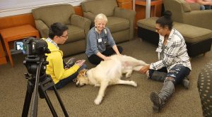 3 people sit on the ground while a white dog lays sprawled out between them.