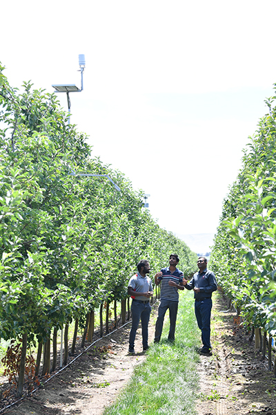 Trio with orchard station