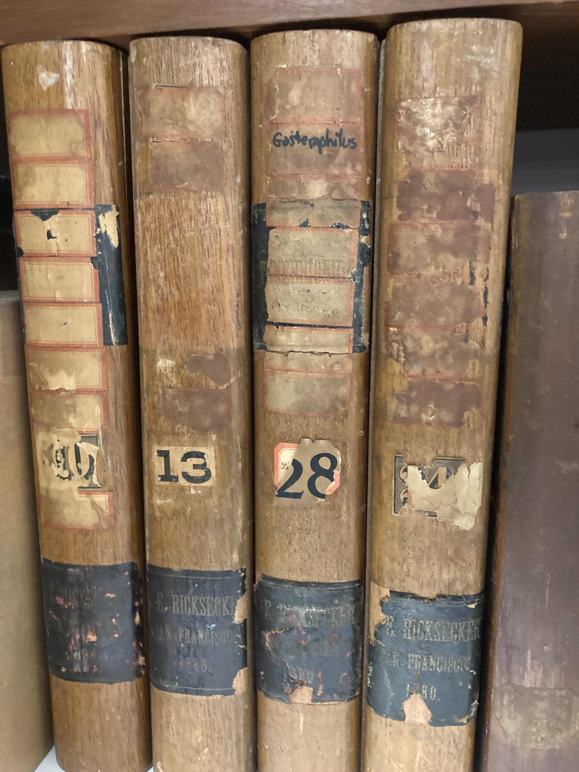 Wsu Insect Collection White witches, vanished specimens, living gems: Look inside WSU’s ...