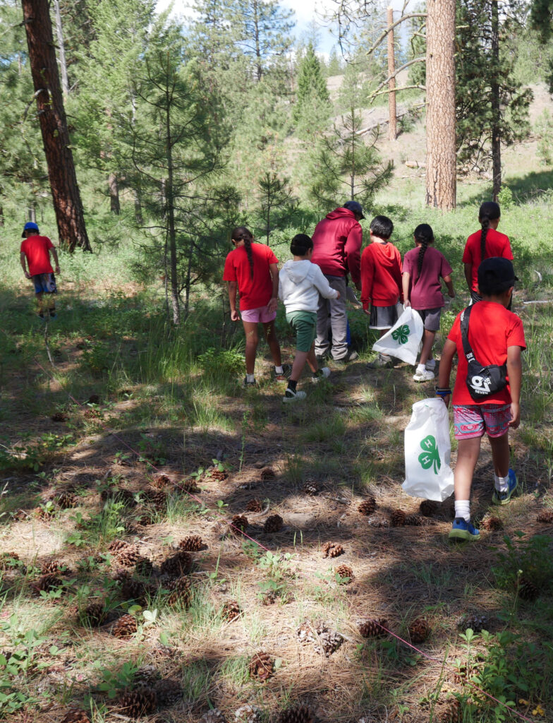Youth walking through a forest with adult chaperone.