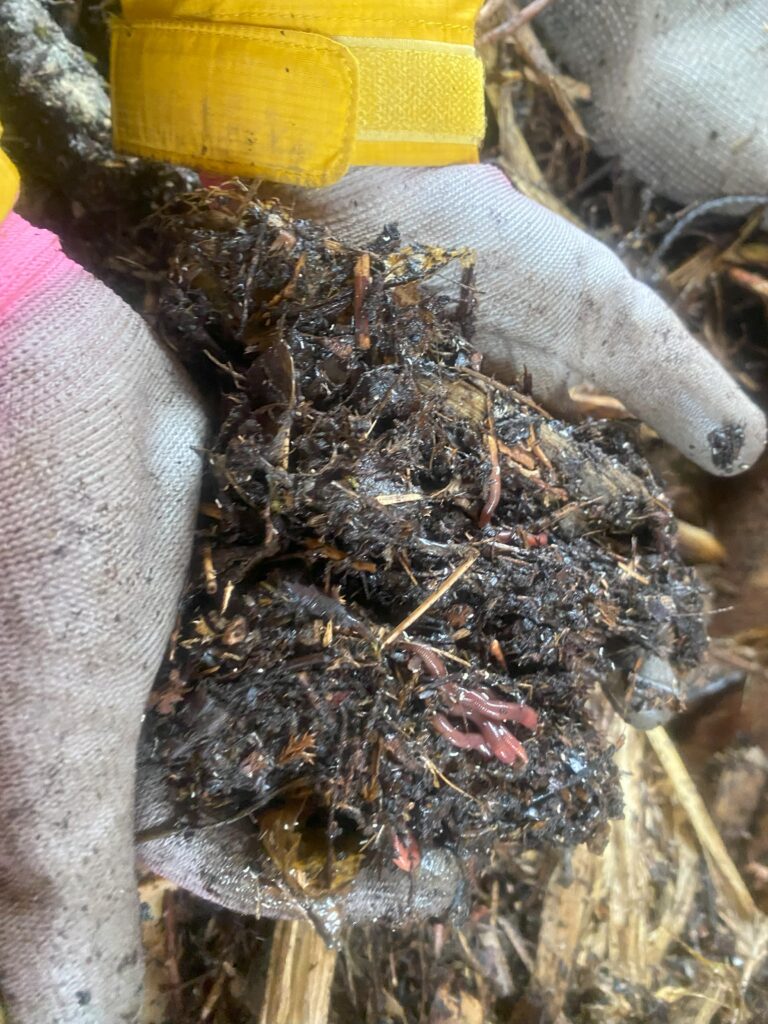 A clew of worms in hand.