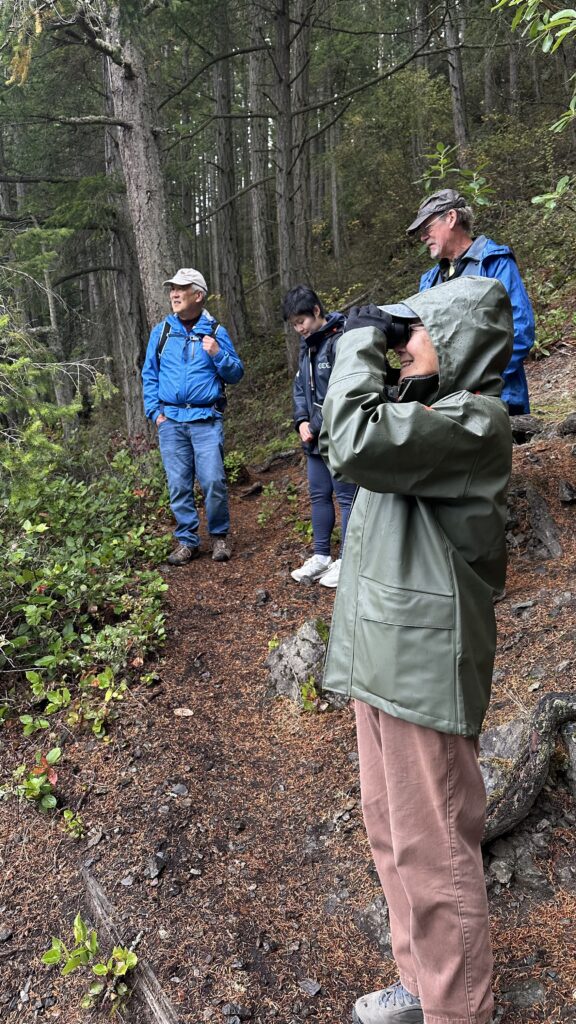 Four people on a forest trail. One in the foreground looks through binoculars.