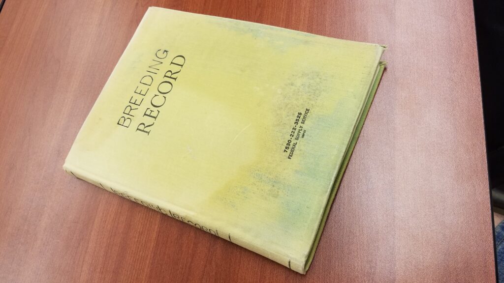 A yellow notebook on a table. Words at top say "Breeding Record."