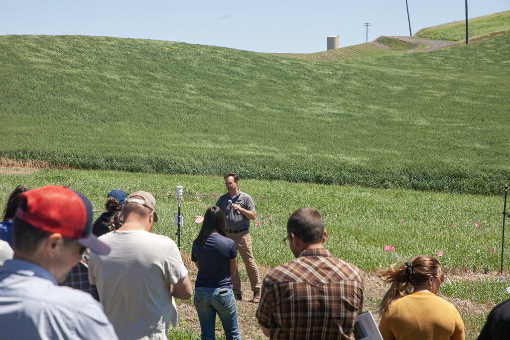 A person talks into a microphone in a rolling green field. Several people stand in front of him listening to him talk.