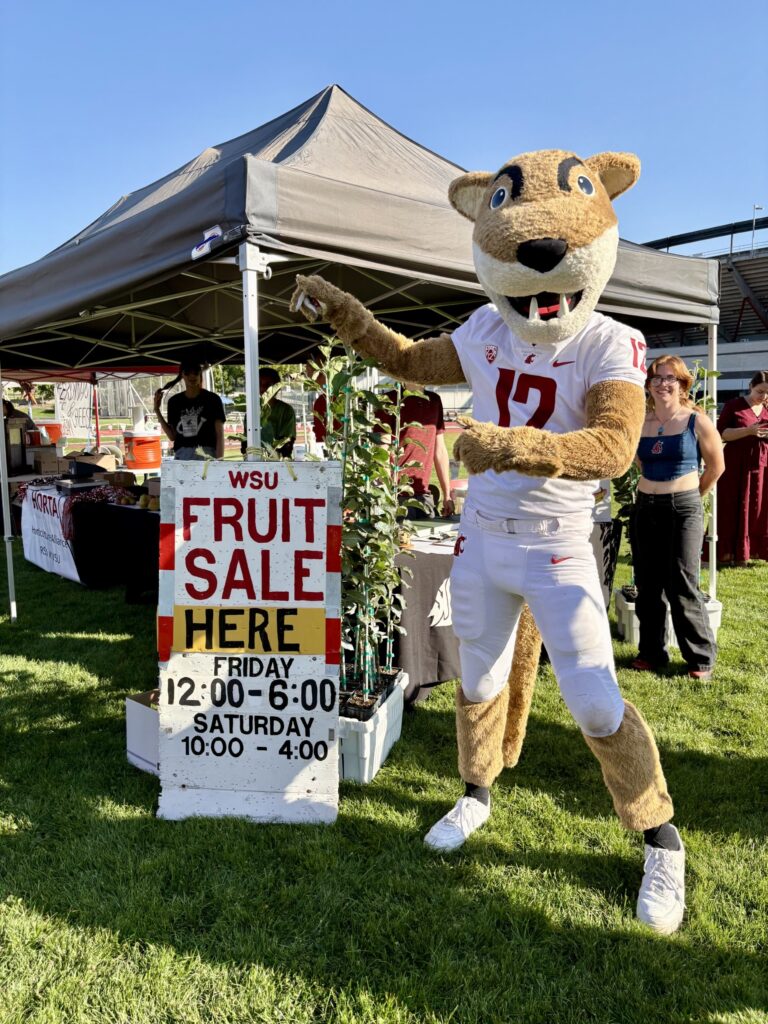 Butch, the WSU cougar mascot, poses beside a sign advertising a WSU fruit sale, with market booths and shoppers in the background.