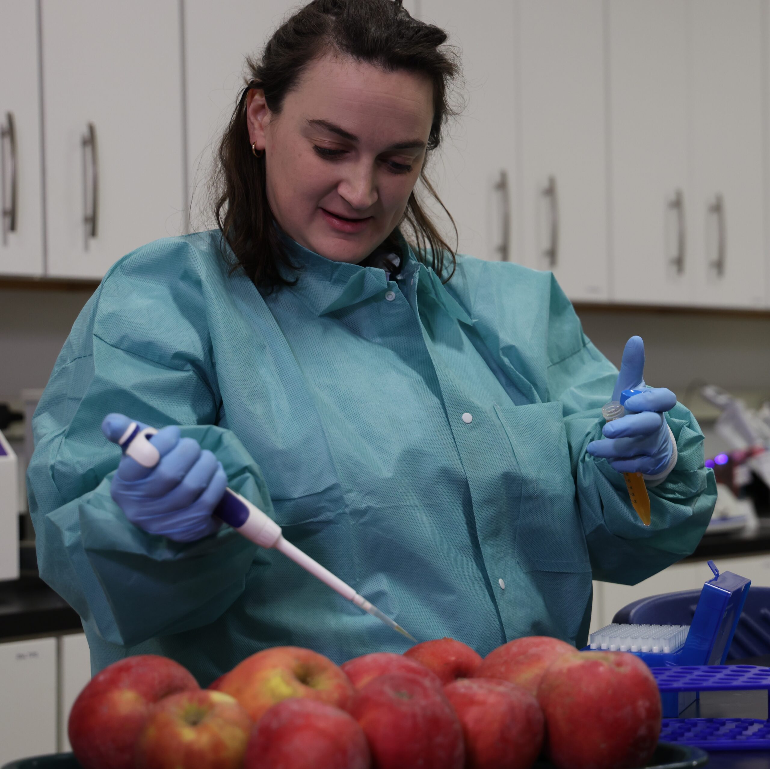 Murphy, in a protective blue suit, holding a pipette against several red apples.