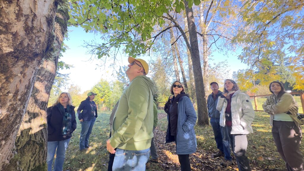 A group of people stand outdoors, surveying a tree canopy.