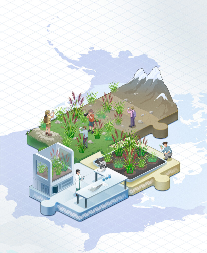 Illustration of interconnected jigsaw puzzle pieces representing ecosystem research and conservation. One puzzle piece shows a natural landscape with grasses, rocks, and snow-capped mountains where several people observe and photograph plants. Adjacent puzzle pieces depict a laboratory with a scientist, microscope, computer, and plant growth chamber, as well as a cultivated research plot where plants are being studied. Underneath the puzzle pieces is a background map of the U.S. and Canada.