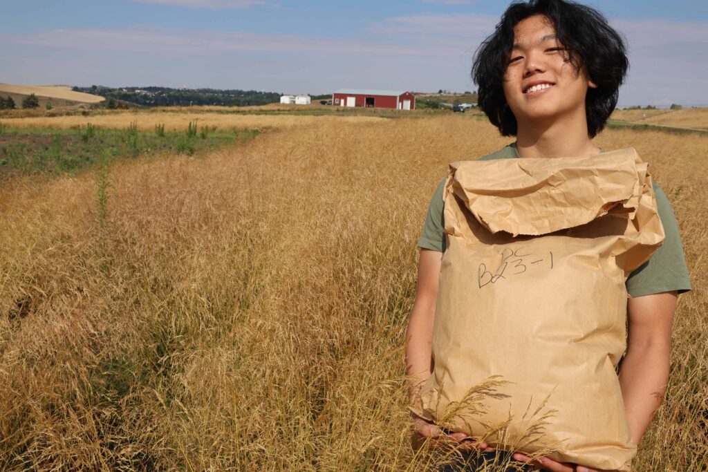 Peter Liu with grass seed, in grass field