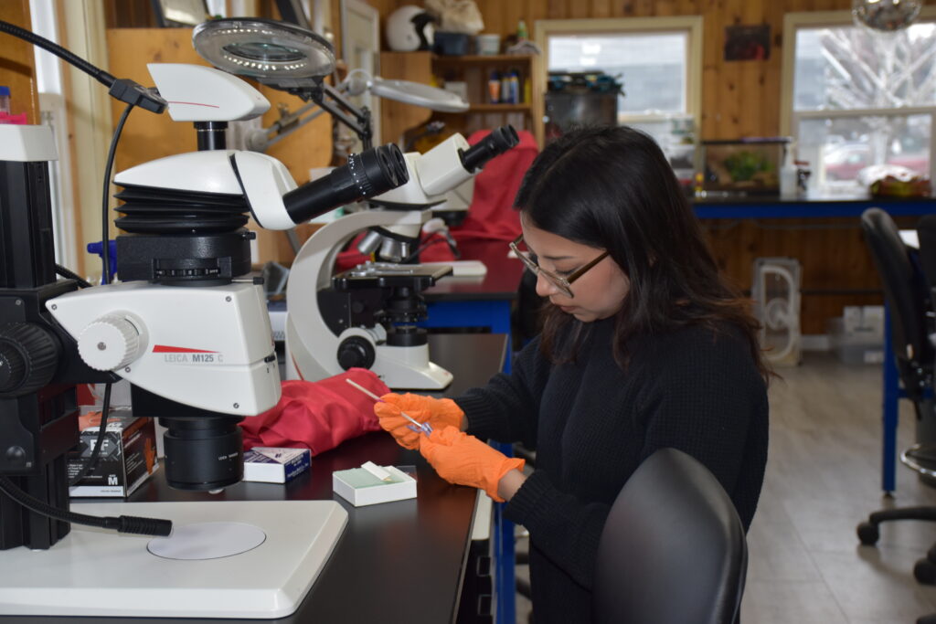 Monica Oropeza in Northfield lab