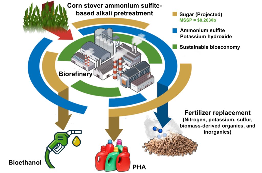 Corn stover pretreatment graphic