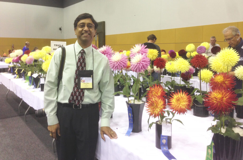 Pappu stands next to rows of tables holding show dahlias in vases. Other people browse the tables.