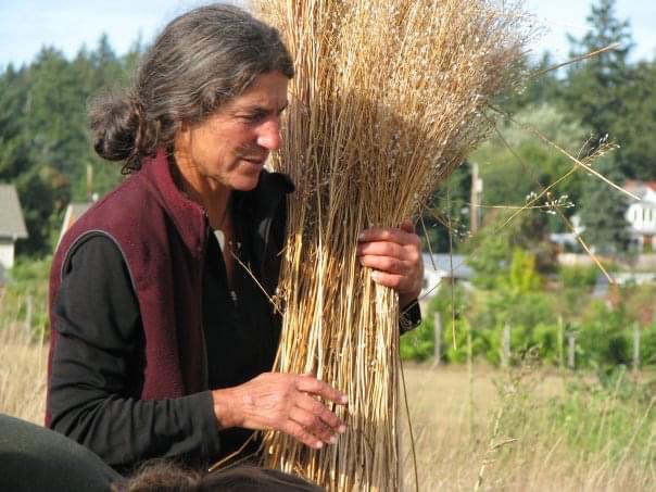 Tinker Cavallaro with camellina stalks