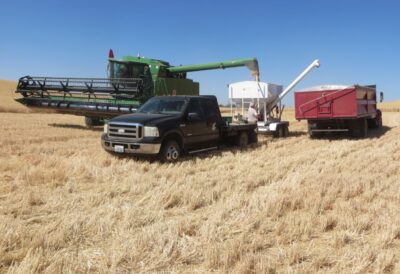 Harvesting crops using a combine, truck-pulled trailer, and grain truck at Wilke Farm.
