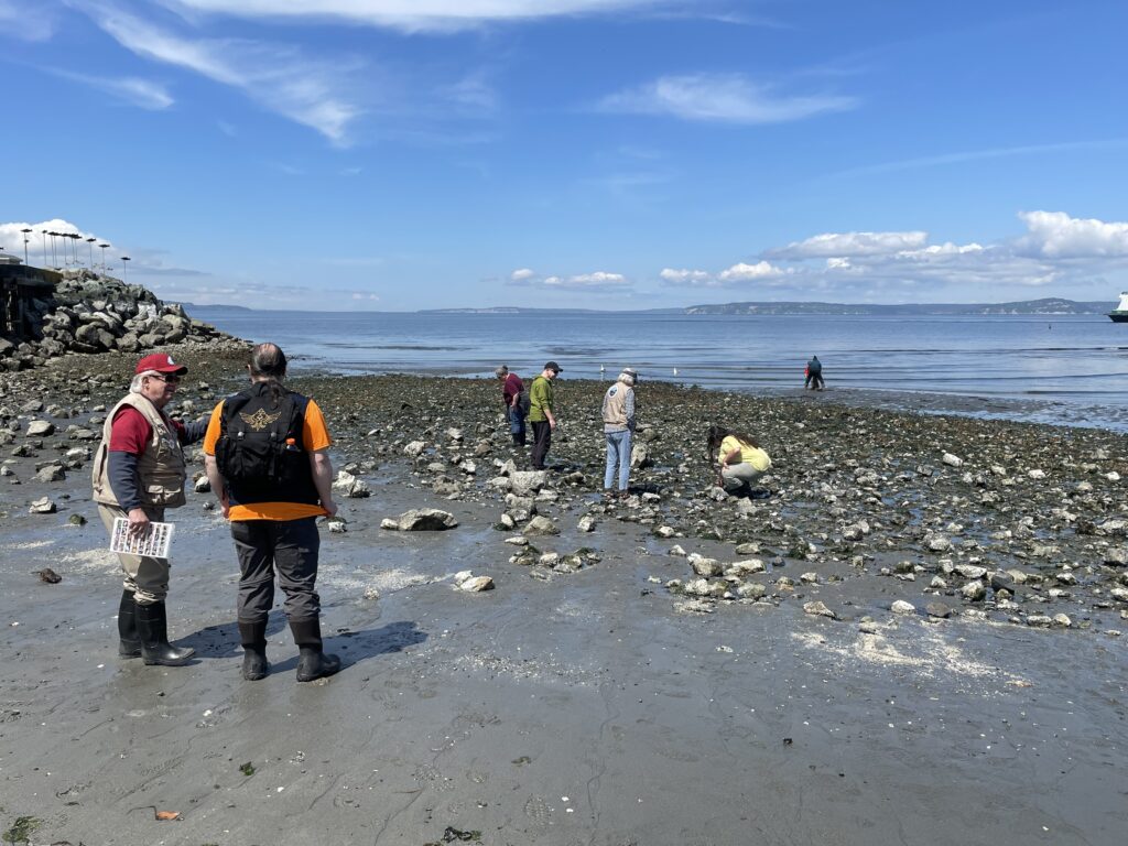 A rocky beach and seaside setting. 2 people in the foreground talk while 5 or more people in the background look down at the rocky beach.