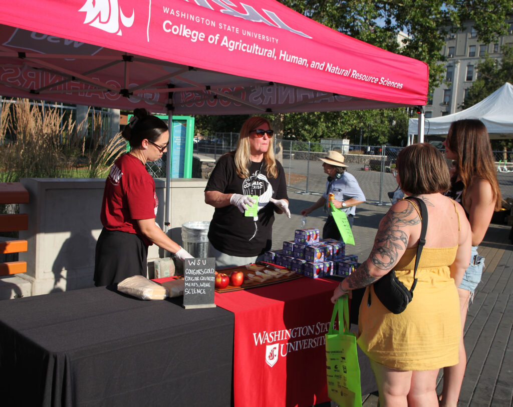 Two people stand behind a table with Cosmic Crisp® apples on it. Some of the apples are sliced for sampling, and there are a few whole apples sitting next to the cut slices. Some apples are in small boxes stacked on the table. Two people stand in front of the table, which has a WSU-themed tablecloth on it. Above the table is a WSU CAHNRS-themed tent.