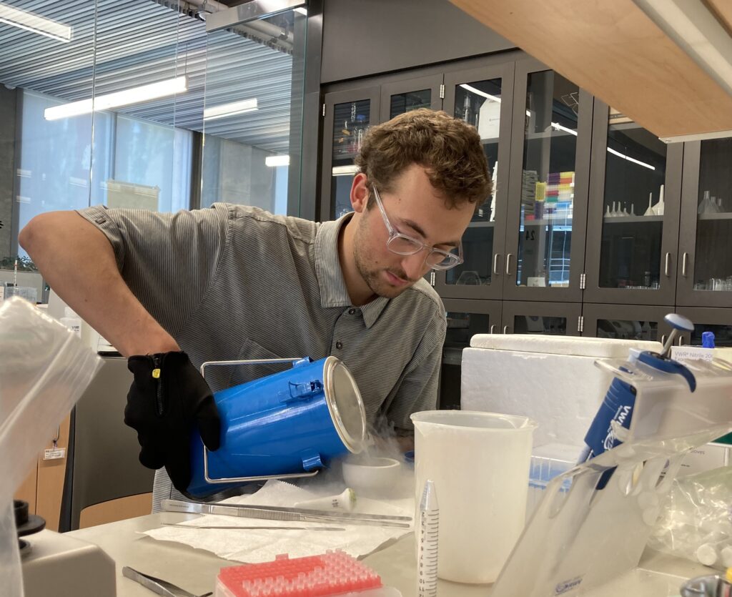 Schroeder working with nitrogen.