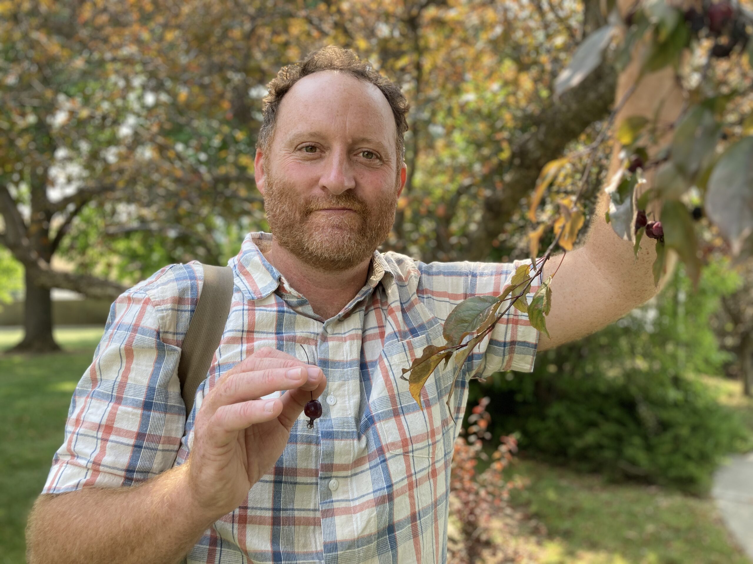 Jeff Wall holding a small fruit and branch of a crabapple tree.