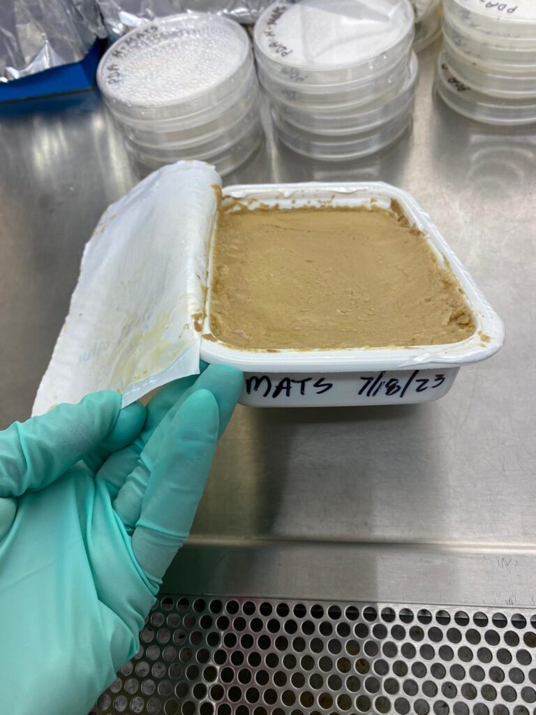 A white plastic tray filled with smooth hummus.