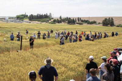Carter speaking, with about 40 tour members nearby, standing in a maturing wheat field, with the Lind station, trees, and parked cars in the far distance.