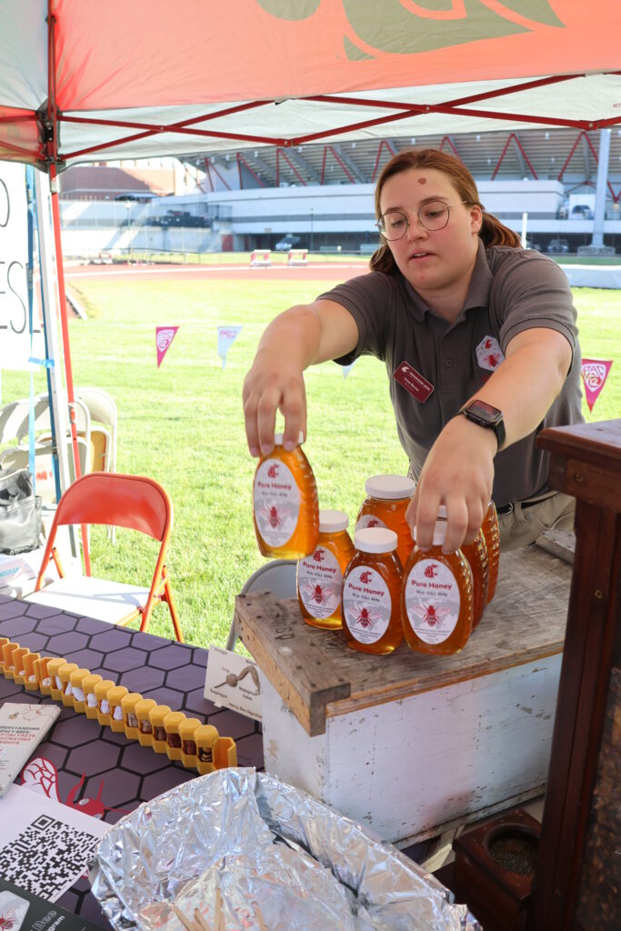A vendor at a farmers market arranges bottles of WSU Pure Honey on a wooden display box beneath a tent, with an educational honeybee display visible on the table.