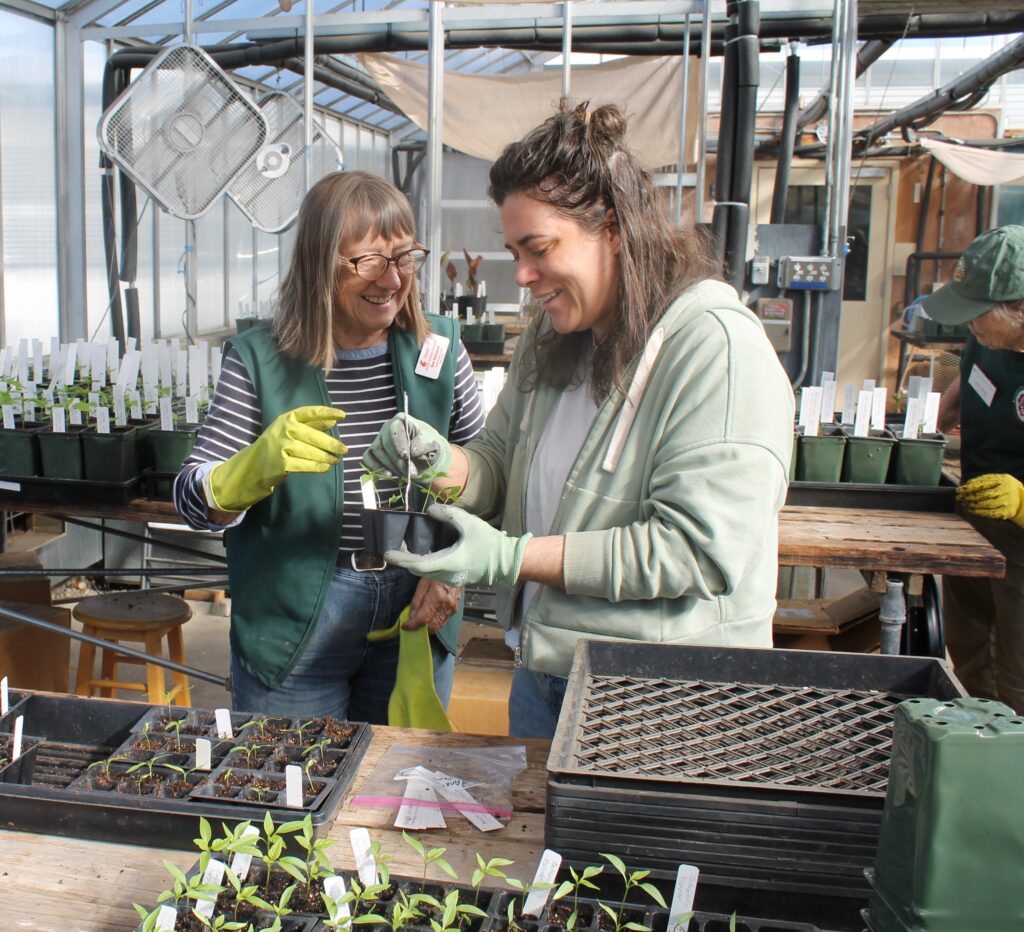 Two people in a greenhouse insert plant tags into seedling trays.