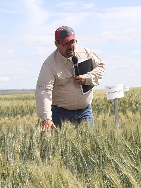 Mike Pumphrey talks in a field of green wheat.