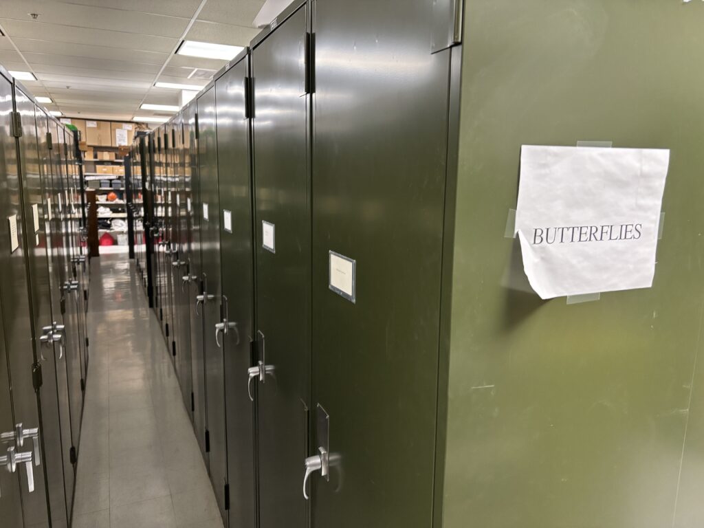 Green metal cabinets that reach floor to ceiling are lined up with a narrow walkway in between them. A sign on one end says "Butterflies".