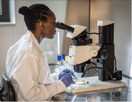 Noma working at Microscope