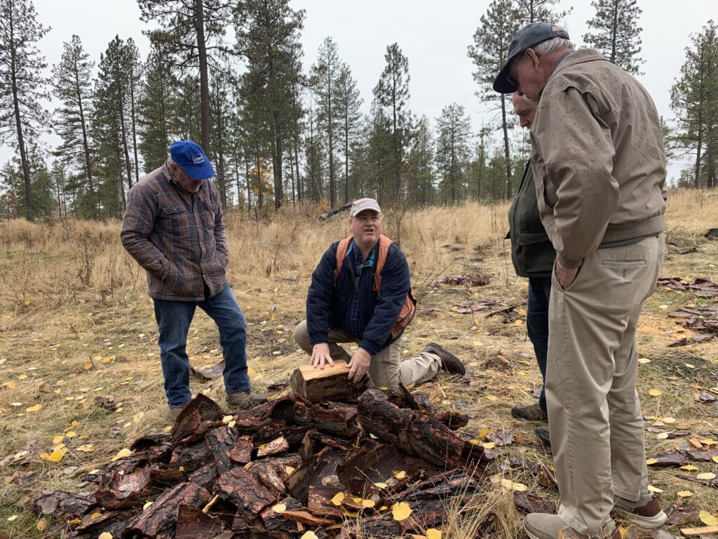 Perleberg with damaged timber - Field Day