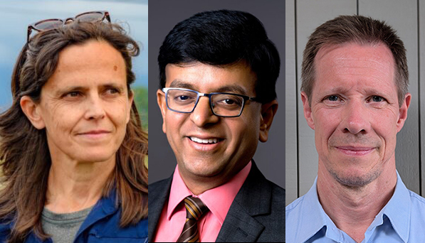 Illustration - Lindsey du Toit, Girish Ganjyal, Mark Lange