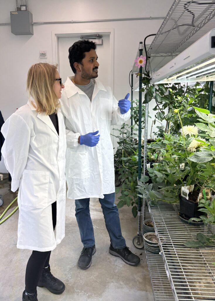 Olga, left, and Prabu, center, looking at dahlias and other plants in a growing room.
