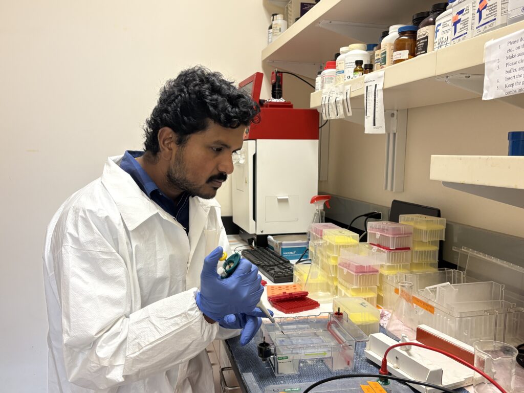 Prabu, gloved an in lab coat, working with trays and a slim stylus-like instrument, in a lab.