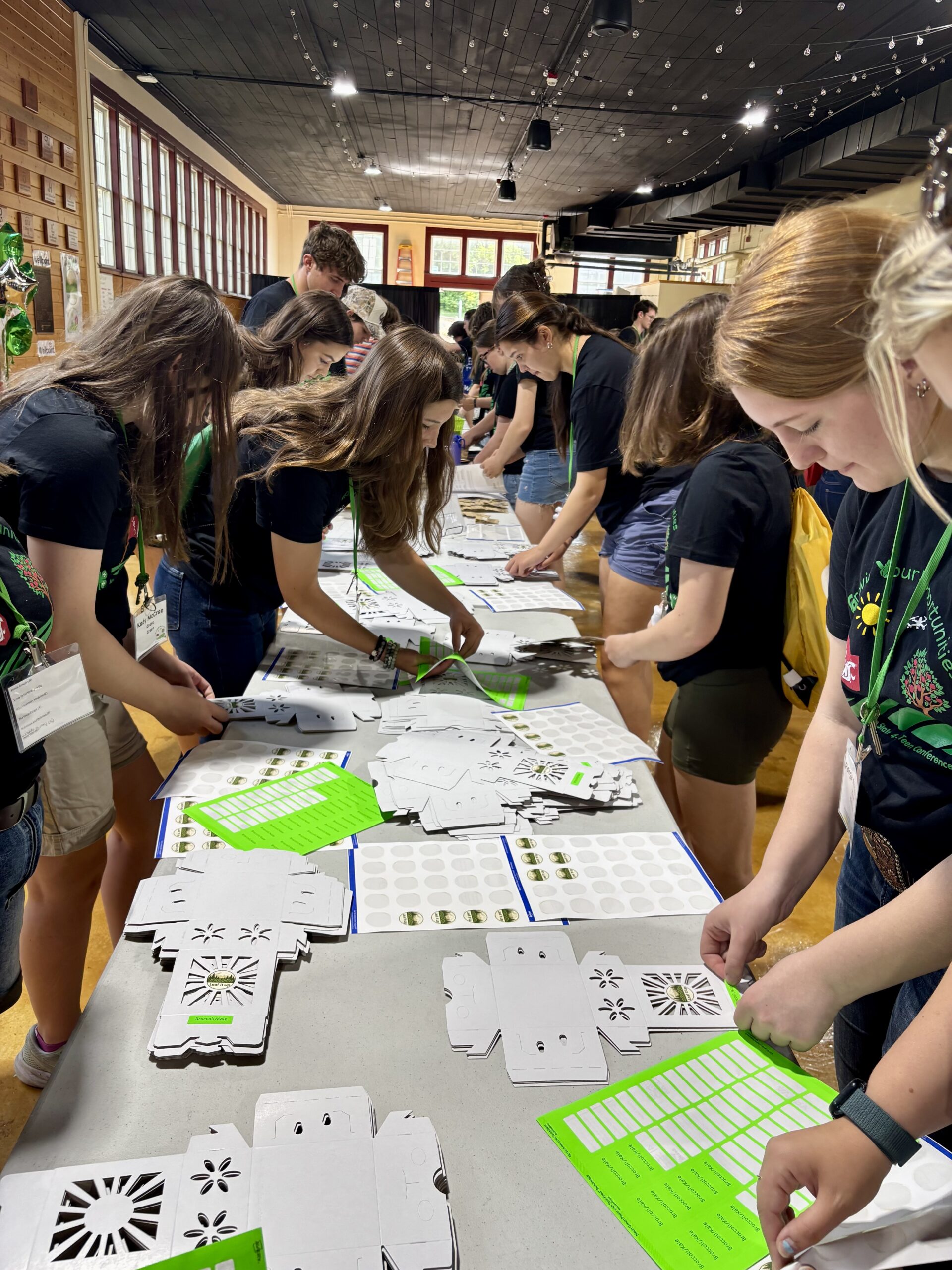 Teens wearing WSU 4-H conference shirts work both sides of a very long table, compiling kits for college students. 