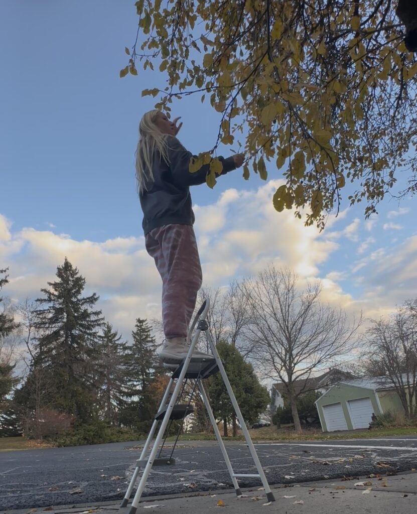A person stands on a step stool reaching up into an apple tree.