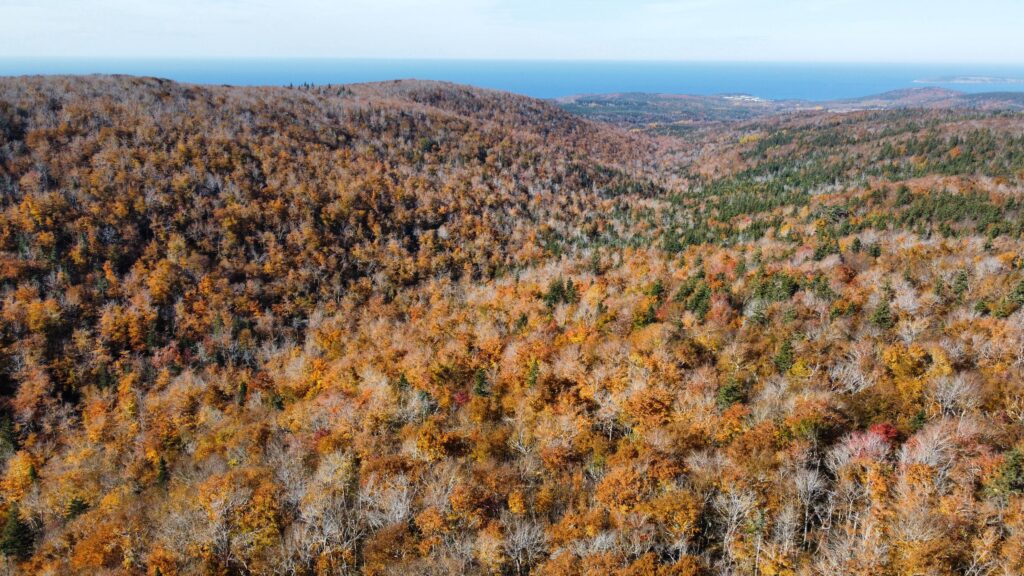 Fall foliage aerial view: an Unama'ki landscape of wooded hills in autumn
