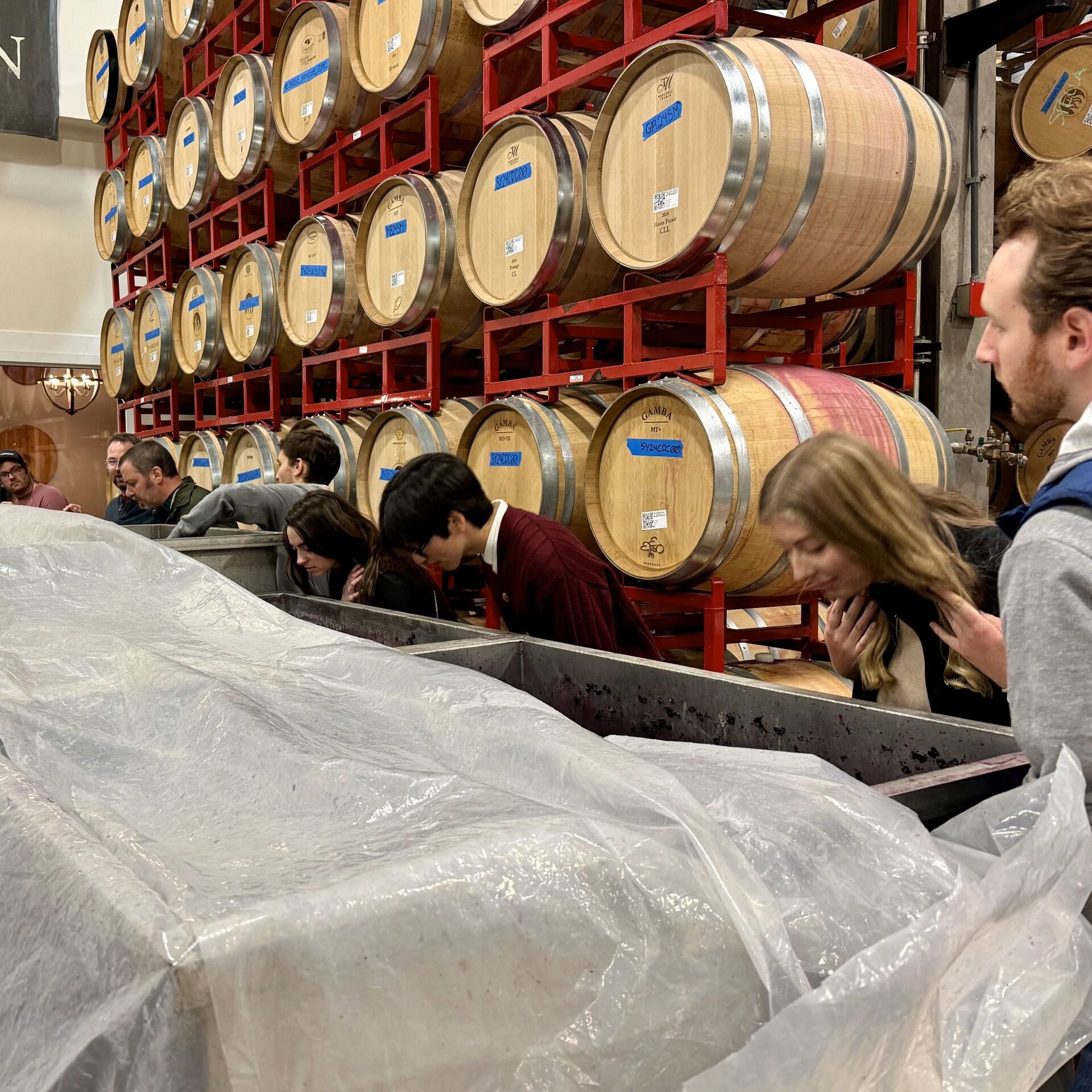 A group of several students leans over to sniff an aroma coming out of a large container. In the background are many wooden wine barrels. 