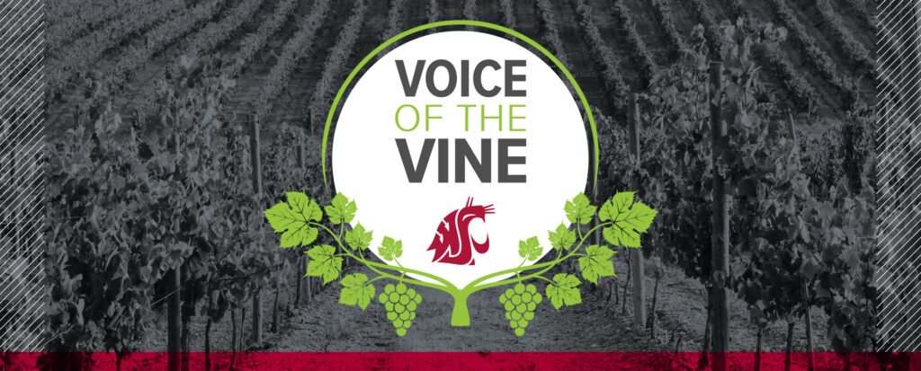 Voice of the Vine.