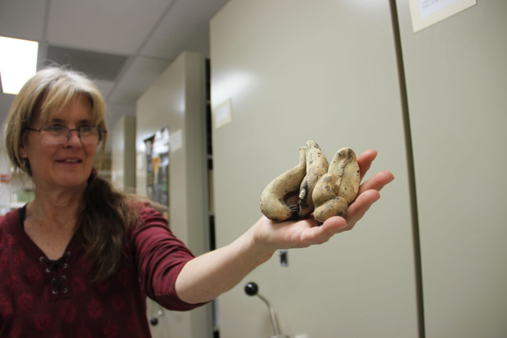 Monique with Xylaria "fingers"
