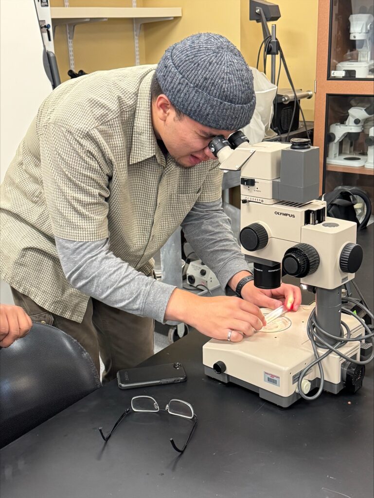 A person looks at a slide on a microscope in a lab setting.
