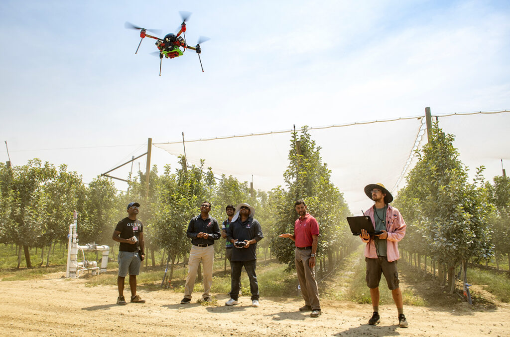 Drone users at orchard- WSU Photo
