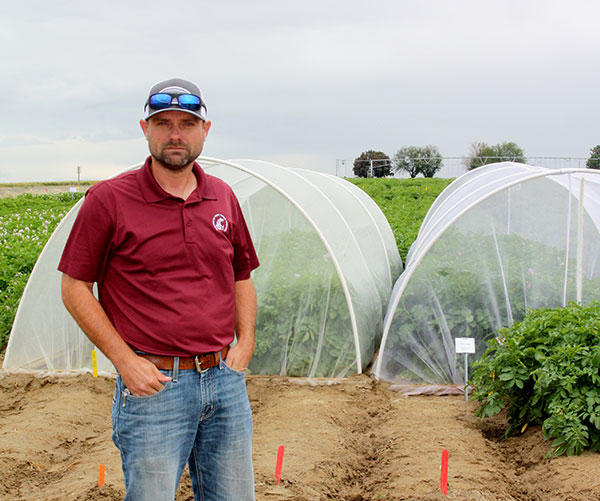 Tim Waters standing in front of mesh Lygus cages in a potato field.