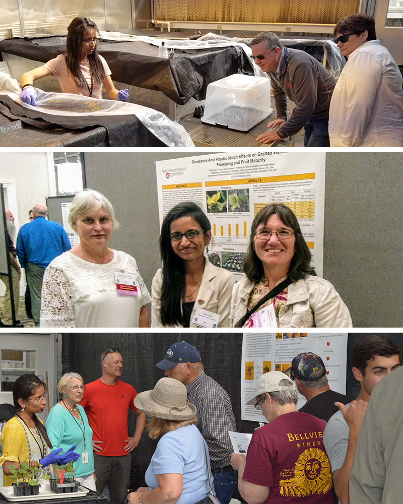 A collage of 3 photos.